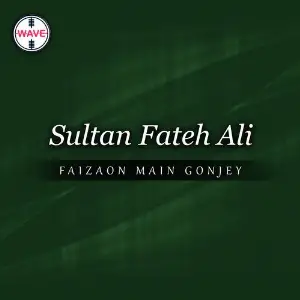Faizaon Main Gonjey - Single image