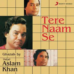 Tere Naam Se image