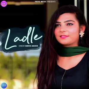 Ladle - Single image