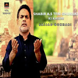 Shabir a.s Teri Ghurbat Ki Kasim image
