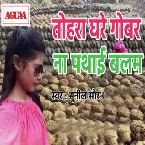 Tohra Gare Gobar Naa Pathai Balam image