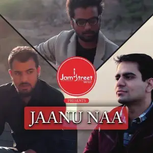 Jaanu Na image