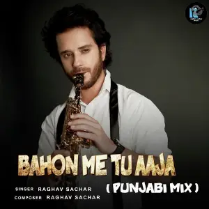 Bahon Me Tu Aaja (Punjabi Mix) image