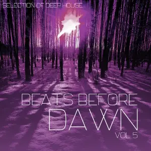 Beats Before Dawn, Vol. 5 image