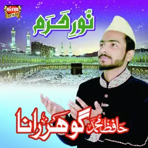 Noor E Haram image