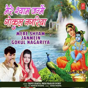 Mere Shyam Janmein Gokul Nagariya image