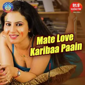 Mate Love Karibaa Paain image