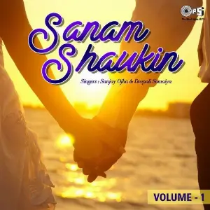 Sanam Shaukin Vol. 1 image