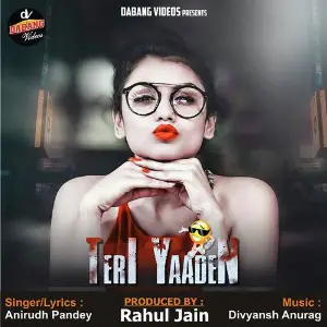 Teri Yaaden image