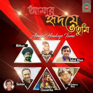 Amar Hridoye Tumi image