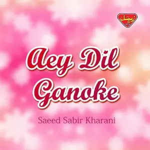 Aey Dil Ganoke image