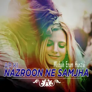 Ap Ki Nazroon Ne Samjha - Single image