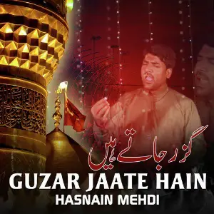 Guzar Jaate Hain image