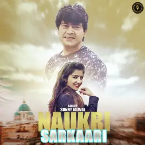 Naukri Sarkaari image