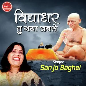 Vidhyadhar Tu Gaya Jabse image