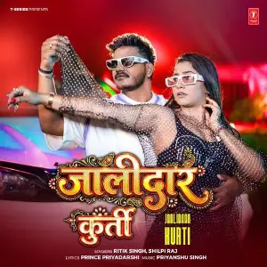 Jaalidaar Kurti image