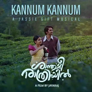 Kannum Kannum (From Shanthameerathriyil) image
