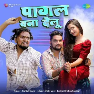 Pagal Bana Delu image