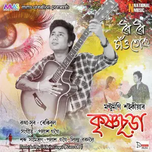 Roi Roi Sau Tuk - Single image