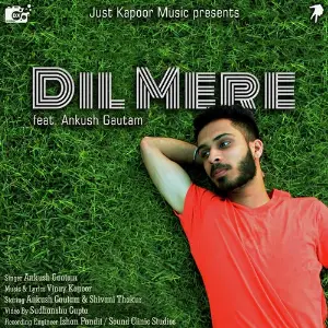 Dil Mere image