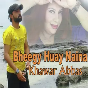 Bheegy Huay Naina image