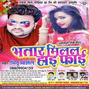 Bhatar Milal Haai Faai image