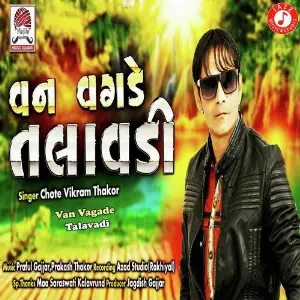 Van Vagade Talavadi image