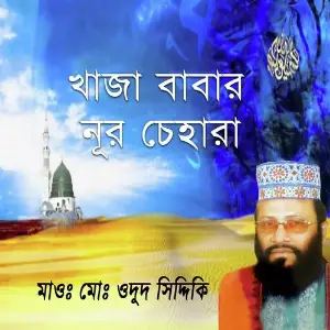 Khaza Babar Nur Chehara image