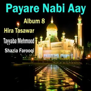 Payare Nabi Aay, Al. 8 image