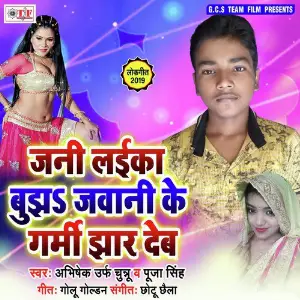 Jani Laika Bujha Jawani Ke Garmi Jhar Deb image