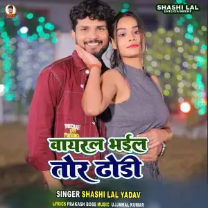 Viral Bhail Tor Dhodi image
