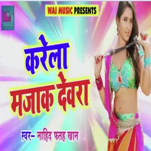 Karela Majak Devra image