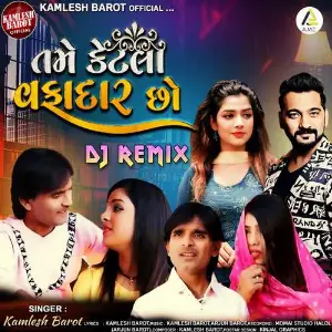 Tame Ketla Vafadar Chho-Dj Remix image
