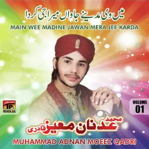 Mein Wee Madine Jawan Mera Jee Karda, Vol. 1 image