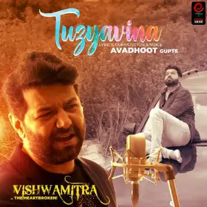 Tuzyavina image