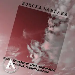 Boroxa Nami Aha - Single image