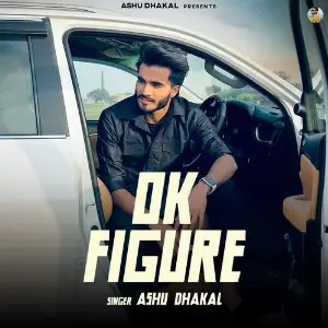 OK figure image