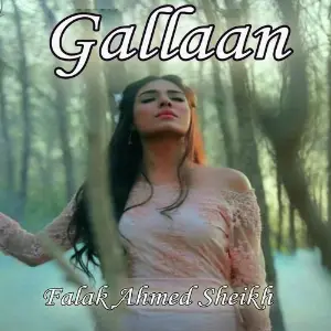 Gallaan image