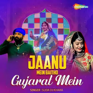 Jaanu Mein Baitho Gujarat Mein image