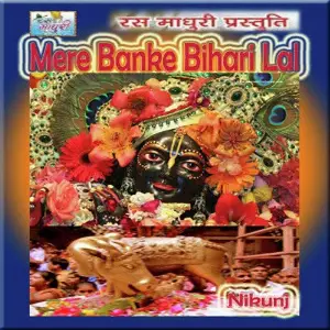 Mere Banke Bihari Lal Nikunj