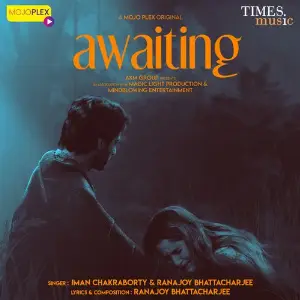 Awaiting image