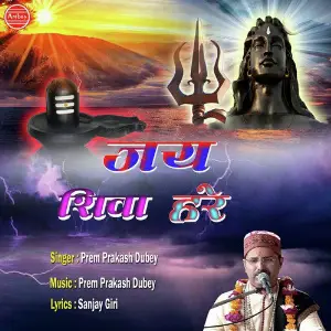 Jai Shiva Hare image