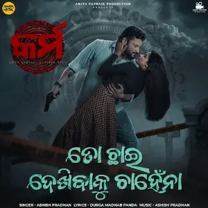 Toh Chhai Dekhibaku Chahena (From Karma) image