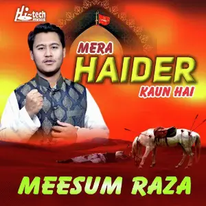 Mera Haider Kaun Hai image
