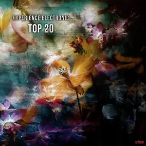 Experience Electronic Top 20 