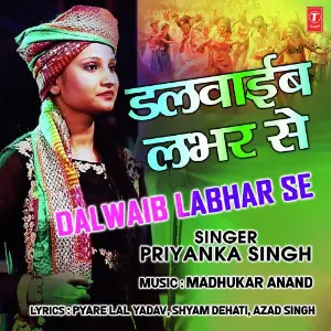 Dalwaib Labhar Se image