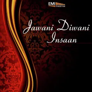 Jawani Diwani  Insaan image