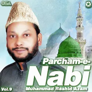 Parcham-e-Nabi, Vol. 9 image
