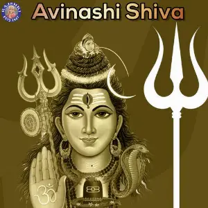 Avinashi Shiva image