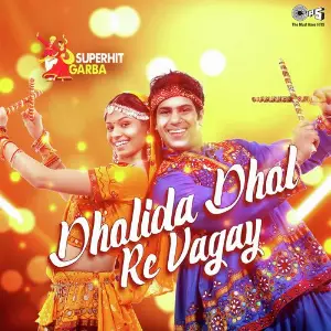 Dholida Dhol Re Vagay - Superhit Garba image